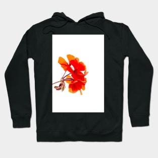 Red Flowers Hoodie